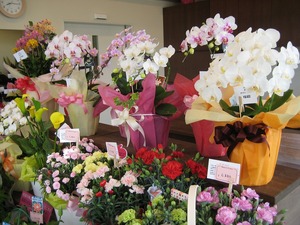 現在の店内～母の日に向けて準備万端～
