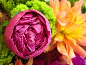 ブログをご覧のお客様からスタンド生花のご注文