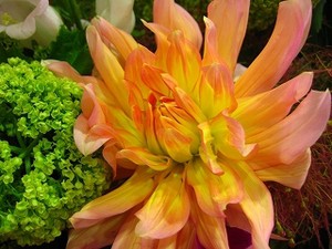 ブログをご覧のお客様からスタンド生花のご注文