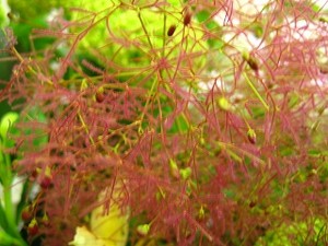 ブログをご覧のお客様からスタンド生花のご注文