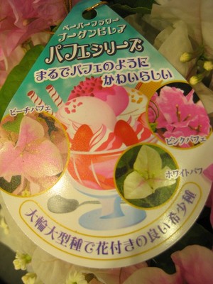 かき氷の練乳がけ的！？ブーゲンビリア　パフェ