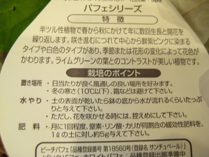 かき氷の練乳がけ的！？ブーゲンビリア　パフェ