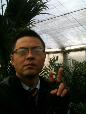 観葉植物のハウスにて