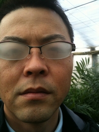 観葉植物のハウスにて