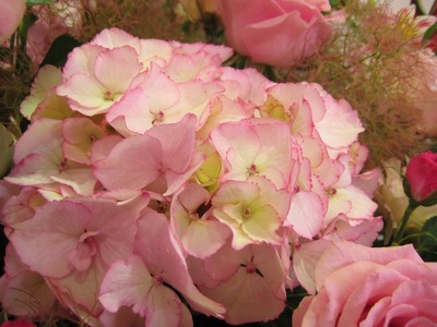 お誕生日用ラブリーピンクのスタンド花