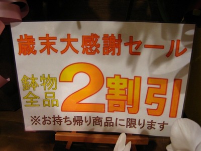 あと2日、ガンガンいきまっせ～！