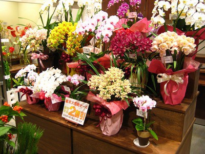 あと2日、ガンガンいきまっせ～！