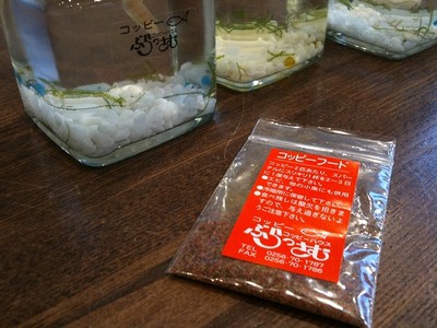 ばにーちゃん、お食事中。