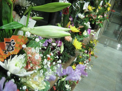 31日も鉢物2割引きセール開催＋α　＼(^o^)／