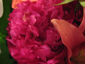 Xmasプレゼントの花束