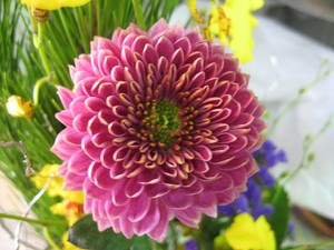 お正月用組花好評販売中！～さんじの店～