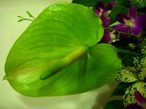 豪華なお祝アレンジ