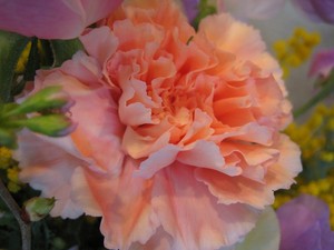 春を告げるアレンジ～桜・バラ・スイトピー～