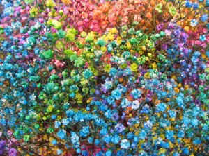 お花のマーブルチョコや～！　～レインボーカスミ草～