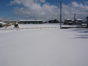 新潟雪便り