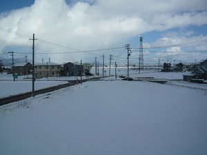 新潟雪便り