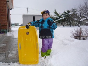新潟雪便り