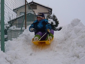 新潟雪便り