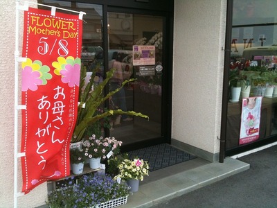 2011年母の日振り返り