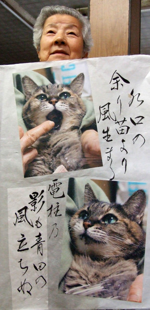 ポッポ蛍