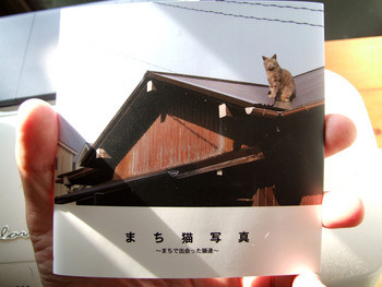 ささやかですが