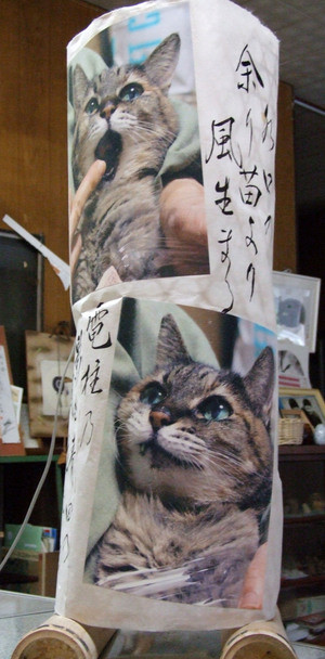 ポッポ蛍