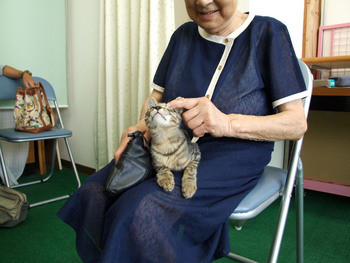 家族を探しに