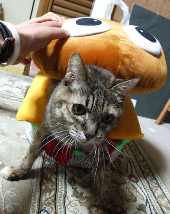 食べちゃう！