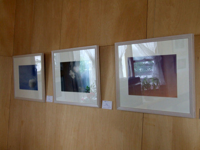 菜展