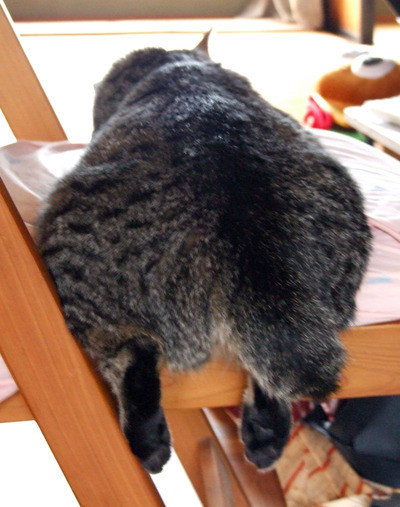 内股の君