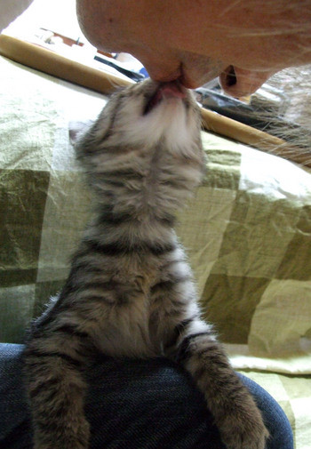kiss!