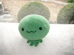 まりもこさん