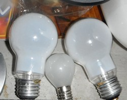電球家族。