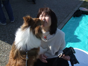 都田総合公園ライブ