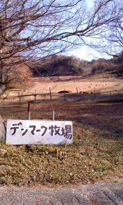 謎の牧場