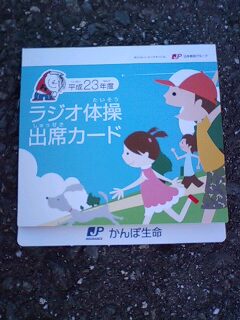 未来につなぐ夏のイベント