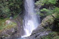 クールな写真　２ 2011/08/11 11:49:53