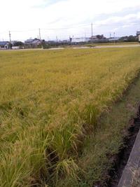 秋 2011/10/10 15:05:45