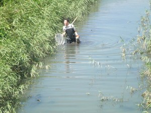 【 白昼の大捕り物 】