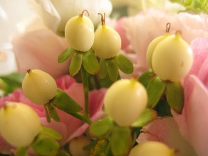 何のお花でしょう～～？？？