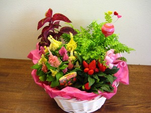 食べられる・・(・。・;？？