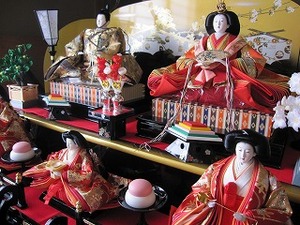 大きくなりました。