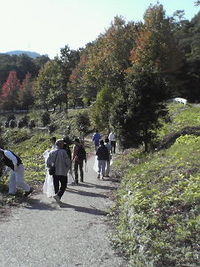 いなさ湖 2007/11/04 09:59:49