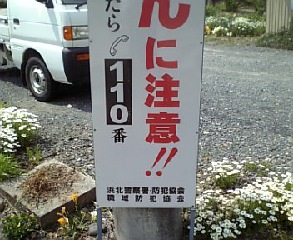 縄張り？