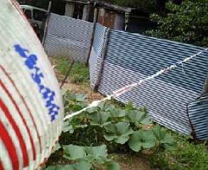 鳥脅しＣＤＲＯＭ