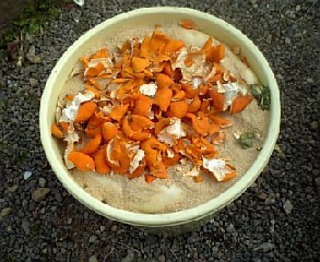 沢庵漬け