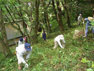 城山の下刈り