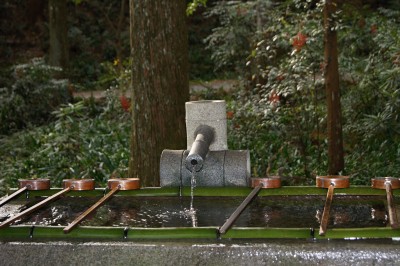 小国神社に行って来ました
