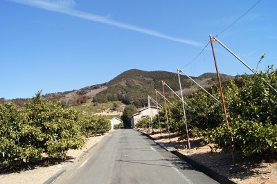 兎荷山登山