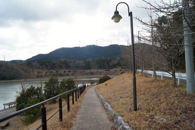 いなさ湖の街路灯